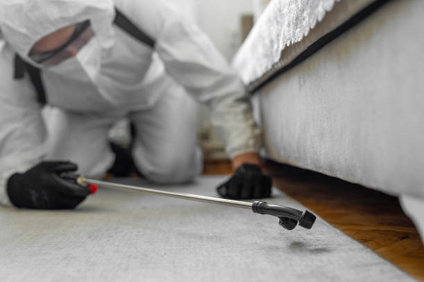 Professional Termite Control technician working in Pemberwick, CT