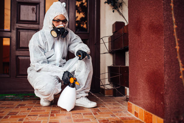 Reliable Termite Control contractor in Pemberwick, CT by Nex Pest Control
